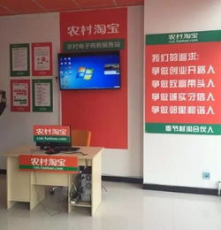 农村电商大佬 从“村淘”合作看县域电商实操——以“特农淘”为例